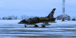 Учебно-тренировочные реактивные самолёты L-39C Albatros приземлились в аэропорту Иркутска Пресс-служба аэропорта г.Иркутск