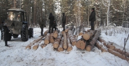 Свежие следы трактора вывели  Черемховских оперативников на &quotчерных лесорубов&quot пресс-служба ГУ МВД России по Иркутской области