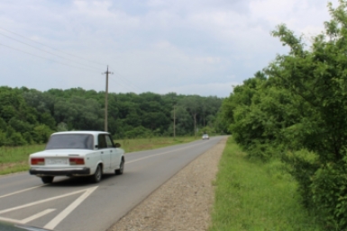 Жигули Лата Людмила Александровна
