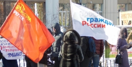 Митинг в поддержку закона Димы Яковлева провел профсоюз граждан России в Иркутске Тимур Балашов