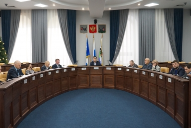 Дума Иркутска Валерия Нестерова