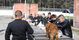 Крупная партия гашиша изъята у 19-летнего призывника в Шелехове Пресс-служба УФСКН по Иркутской области