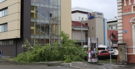 Упавшее дерево загородило улицу Бограда в центре Иркутска РИА Irkutskmedia