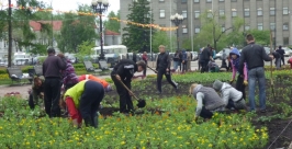 Горзеленхоз возродят в Иркутске Елена Игнатьева