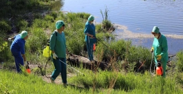 Не решив проблему с горностаевой молью, мэрия Иркутска взялась за малярию РИА Irkutskmedia