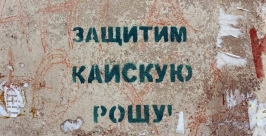 Более 520 сосен впервые за 30 лет высадят до конца лета в Кайской роще в Иркутске РИА IrkutskMedia