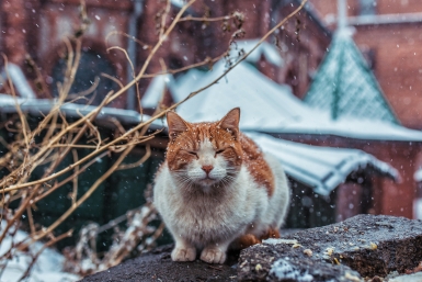 Зима Мария Смитюк, ИА PrimaMedia