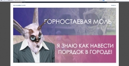 Моль работает по партийной линии РИА IrkutskMedia