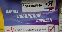 Баннерный &quotтерроризм&quot настиг партию Прохорова в Иркутске Мария Оленникова, IrkutskMedia