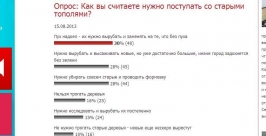 Баобабы вместо тополей хотят видеть некоторые жители Иркутска на улицах города - опрос скриншот