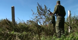 Поле конопли вблизи войсковой части уничтожили в Иркутской области Пресс-служба УФСКН по Иркутской области