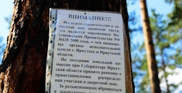 Объявление в Славном Мария Оленникова 