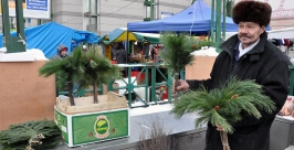 Вместо живых елей ветки сосен начали продавать в Иркутске  Мария Оленникова