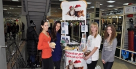 Новогоднюю &quotгуманитарную помощь&quot собирают бездомным кошкам и собакам волонтеры Иркутска Мария Оленникова