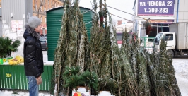 Цены на живые елки в Иркутске от 300 до 2 тысяч рублей  Мария Оленникова