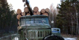 Более 90 уголовных дел возбуждено на черных лесорубов в Иркутской области  Пресс-служба ГУ МВД России по Иркутской области 