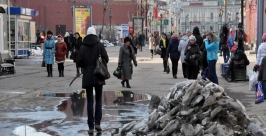 После последнего снегопада никак не может оправиться Иркутск Оленникова Мария, IrkutskMedia