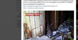 Десятки мертвых щенков хранила у себя в кладовке &quotкоробочница&quot в Иркутске Скриншот страницы &quotЗоозащиты&quot в социальных сетях vk.com