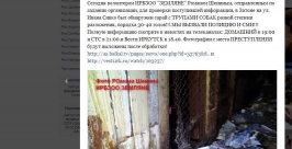 С жестоким обращением с животными не связана гибель щенков в кладовке в Иркутске Скриншот страницы &quotЗоозащиты&quot в социальных сетях vk.com
