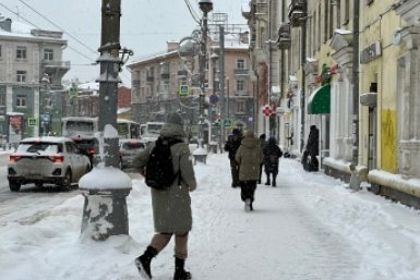 Снегопад в Иркутске 26 ноября Юлия Ушакова, ИА IrkutskMedia