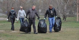 На уборку острова Конный вышли депутаты Думы Иркутска Пресс-служба Думы Иркутска