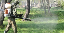 На площади более 650 га началась противоклещевая обработка в Иркутске Тимур Балашов, РИА IrkutskMedia