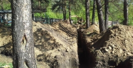 Деревья пострадали от экскаватора в Кайском лесу в Иркутске Предоставлено директором Ботанического сада ИГУ Виктором Кузевановым