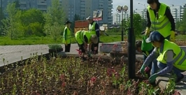 К озеленению более 7,5 тысяч кв. метров клумб приступили в Братске в Иркутской области Пресс-служба администрации Братска 
