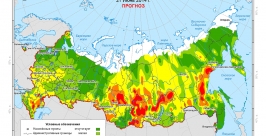 Пожарная опасность по условиях погоды Расчеты и инфографика Рослесхоза РФ