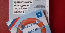 Наблюдение за выборами в Тулуне в Приангарье проходит в рамках гранта президента РФ Елена Овсянникова, РИА IrkutskMedia