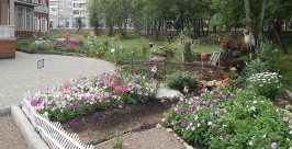 Фестиваль цветников проходит в усадьбе Сукачева в Иркутске  РИА IrkutskMedia