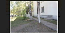 Разъяренного пса, покусавшего трех человек, пристрелили в Ангарске Иркутской области скриншот с сайта ГУ МВД