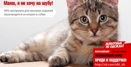 &quotАнтимеховой марш&quot проведут защитники прав животных в Иркутске предоставлено организаторами