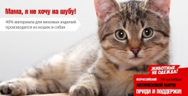 Творческие коллективы приглашаются на поддержку &quotАнтимехового марша&quot в Иркутске предоставлено организаторами