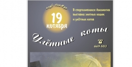 &quotЛохматых и совсем раздетых кошек&quot смогут увидеть на выставке жители Иркутска 19 октября скриншот сайта http://seymur-club.ru/