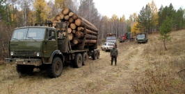 Почти 50 уголовных дел за нарушения в лесной сфере возбуждено в Приангарье за 10 дней Пресс-служба ГУ МВД по Иркутской области