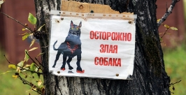 Собаки искусали 14-летнюю школьницу в Байкальске Иркутской области  Мария Оленникова