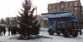 Ель, высаженная в парке Парижской коммуны на улице Маяковского в декабре 2012 года, погибл Тимур Балашов, РИА IrkutskMedia