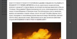 Факт пожара в собачьем приюте подтвердили в ГУ МЧС по Иркутской области скриншот с vk.com