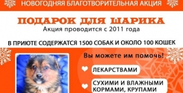 Новогодние подарки для шариков и бобиков собирают зоозащитники Иркутска предоставлено организаторами