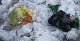 По-новому платить за вывоз отходов предлагает МУП &quotСпецавтохозяйство&quot в Иркутске Бойко Ольга, EAOmedia