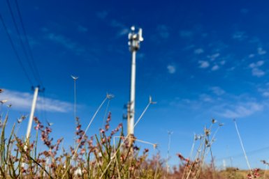 МТС остается лидером по числу коммерческих внедрений сетей Private LTE/5G Мария Иванова