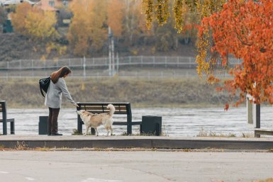Потеплеет до +15°С: о погоде в Иркутской области на 9 октября Юлия Ушакова, ИА IrkutskMedia