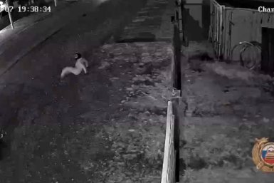 Сбивший 16-летнего мопедиста водитель скрылся с места ДТП в Боханском районе Госавтоинспекция Иркутской области