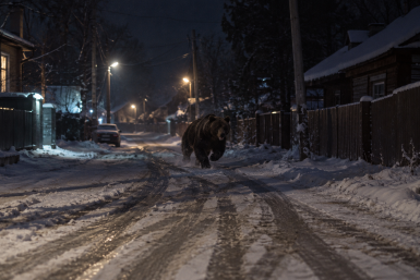 Новость
