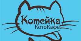 &quotКотейкой&quot нарекли первое в Иркутске котокафе предоставлено организаторами