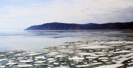 Охраняемую природную территорию нужно создать на Иркутском водохранилище – прокуратура Оленникова Мария, IrkutskMedia