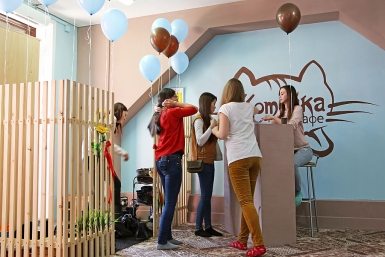 Молодежь очень заинтересовалась котокафе Мария Оленникова