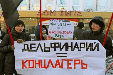 "Дельфинарий = концлагерь", считают активисты Мария Оленникова, IrkutskMedia