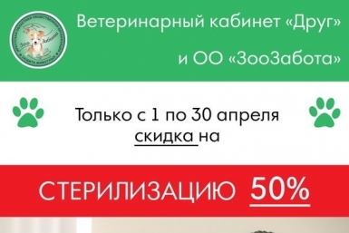 Веткабинет &quotДруг&quot в Иркутске запустил акцию по льготной стерилизации домашних животных предоставлено организаторами